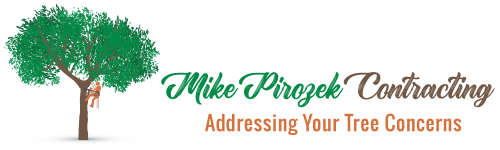 Logo Mike Pirozek Contracting